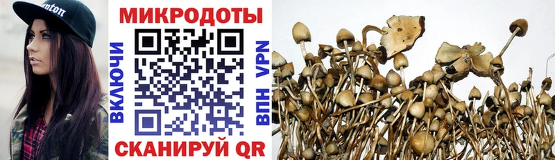 Купить где  Железногорск-Илимский  Галлюциногенные грибы Psilocybine cubensis 